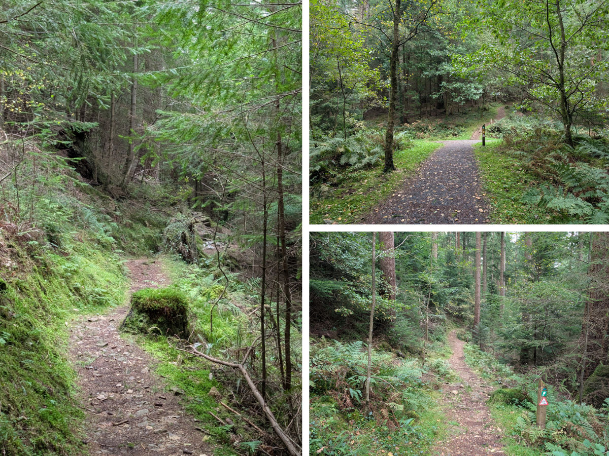 The trails begin to become more challenging