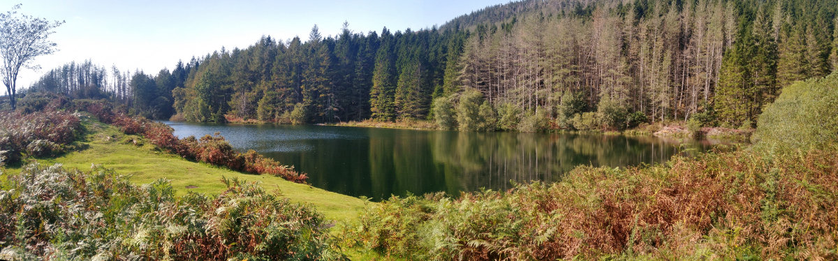 Panorama of Llyn Tan-y-Graig