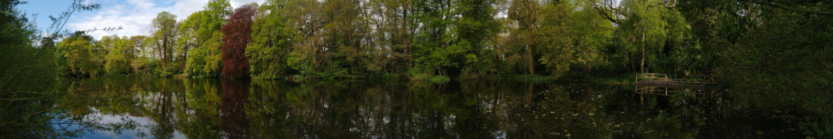 Lake panorama