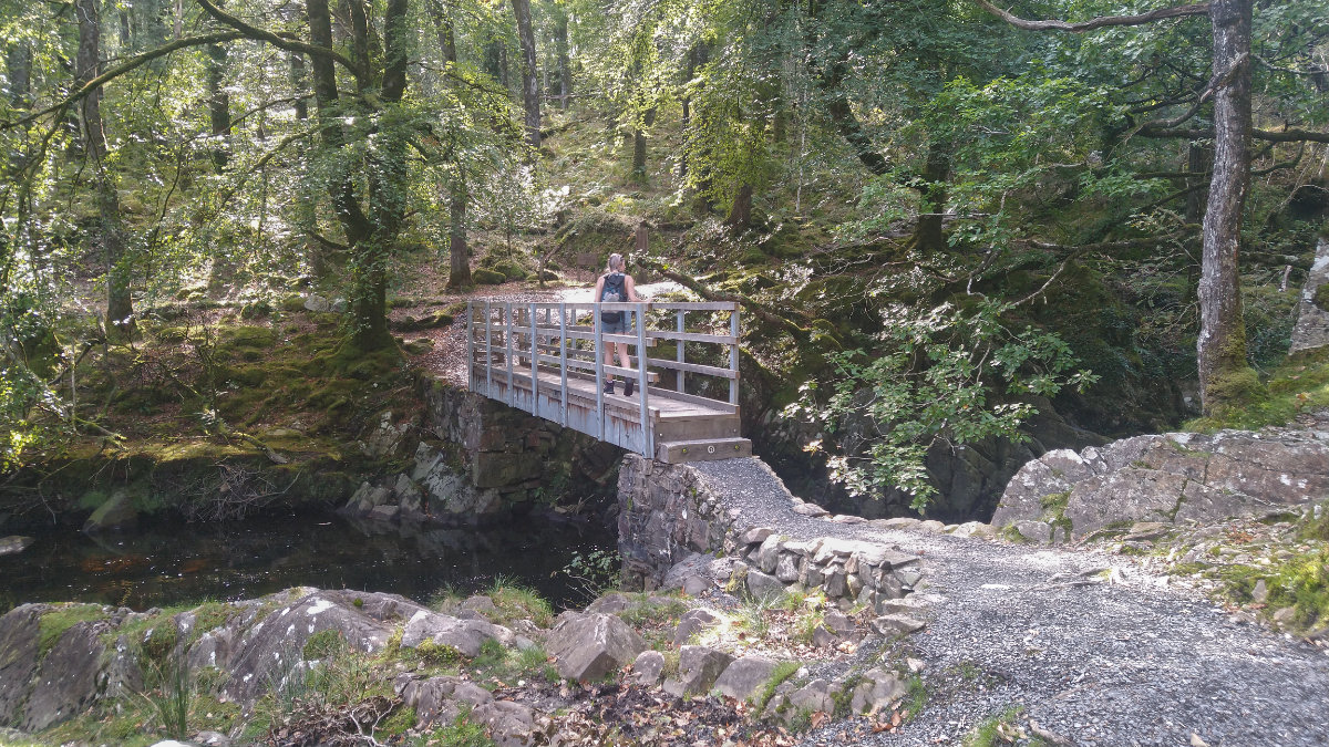 Crossing the bridge at Ganllwyd