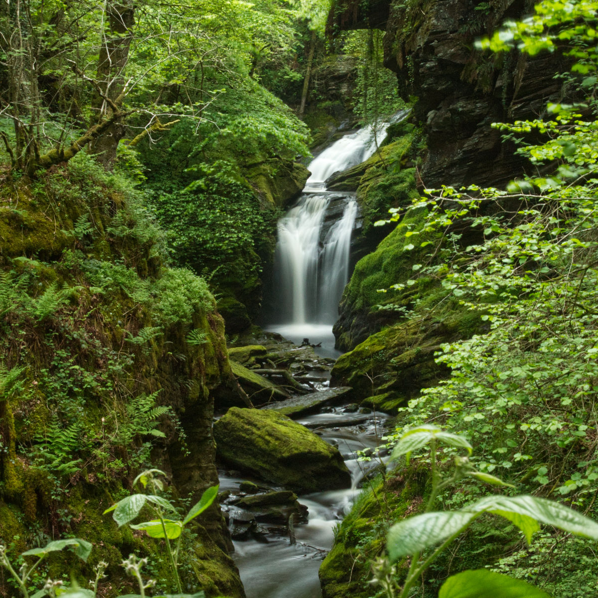 The later falls further along the walk