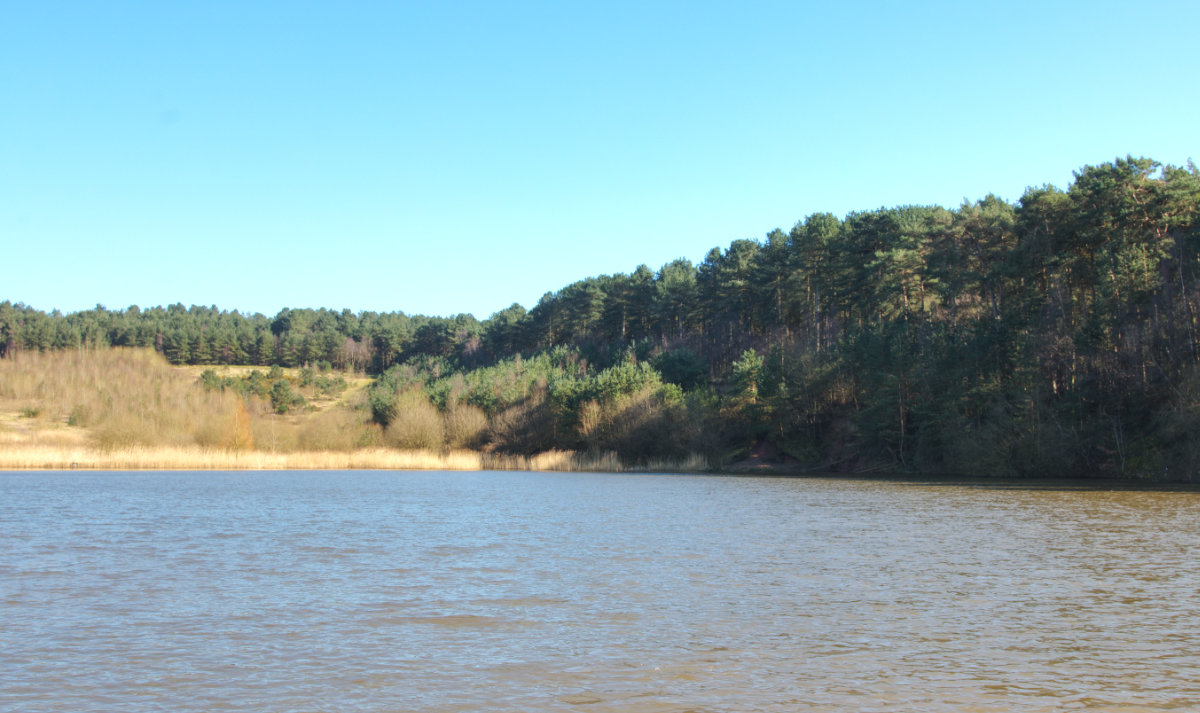 A view from the lake's edge