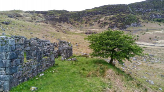 Coed Ganllwyd walk