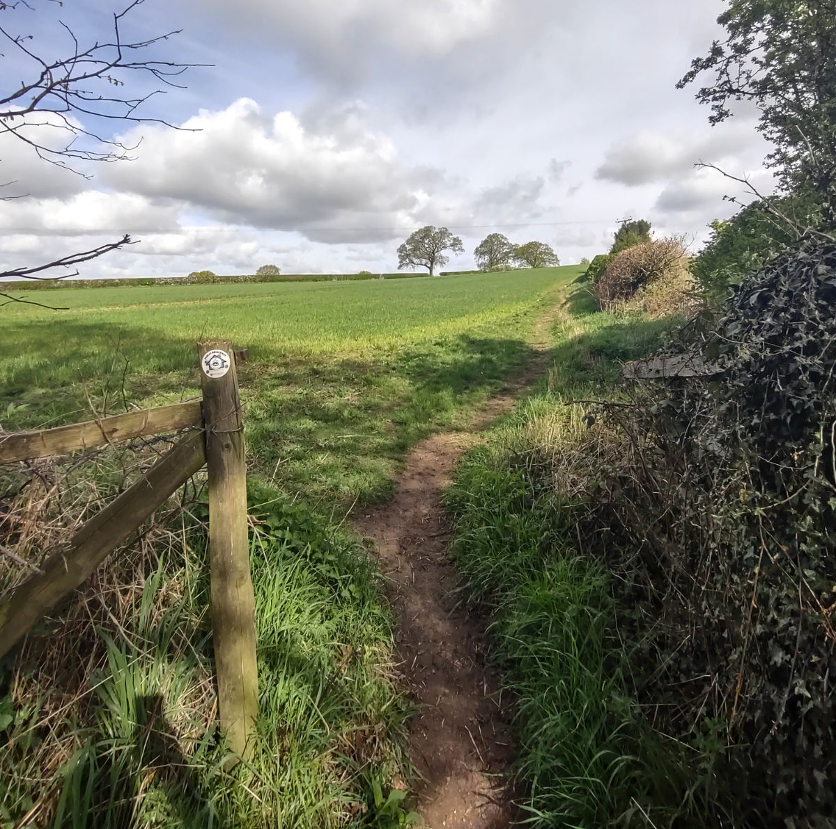 Beyond the woods and into the farmland