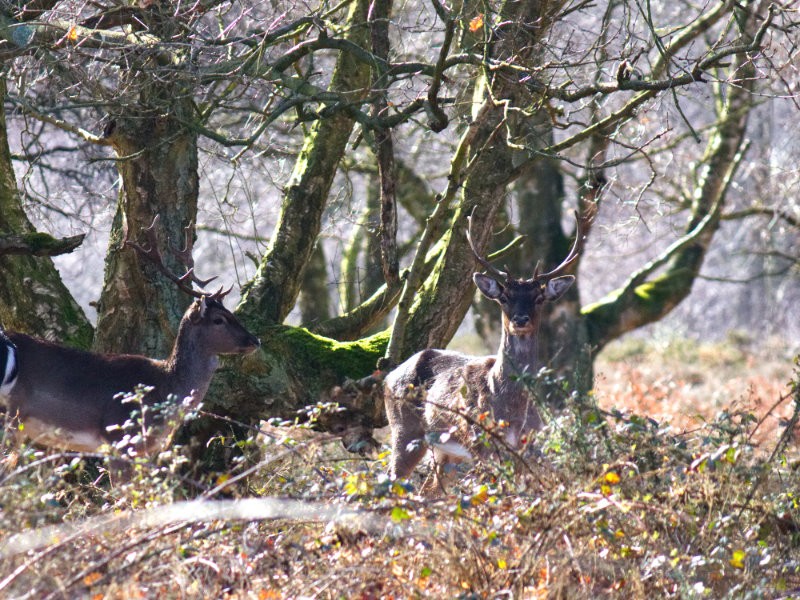 Young male in winter sun