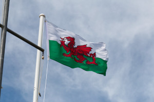 Wales icon